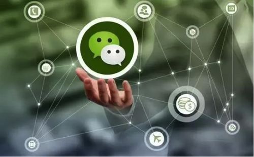 移动互联时代下的创新变现 山东创尔科技如何以三大模式撬动小程序盈利蓝海